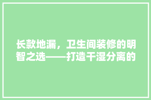 长款地漏，卫生间装修的明智之选——打造干湿分离的舒适空间