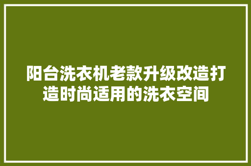 阳台洗衣机老款升级改造打造时尚适用的洗衣空间