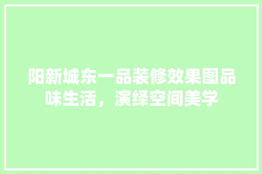 阳新城东一品装修效果图品味生活，演绎空间美学