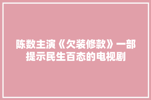 陈数主演《欠装修款》一部提示民生百态的电视剧