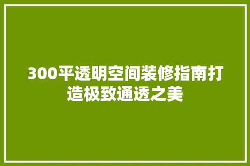 300平透明空间装修指南打造极致通透之美