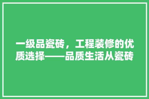 一级品瓷砖，工程装修的优质选择——品质生活从瓷砖开始