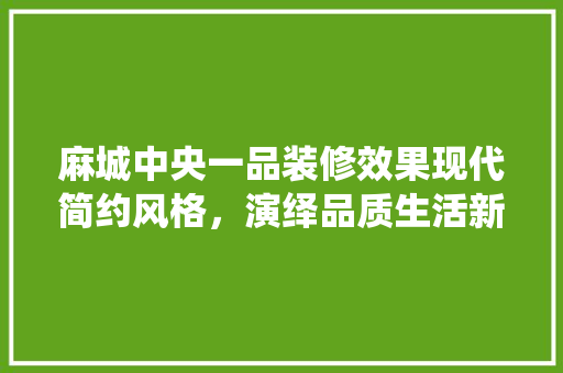 麻城中央一品装修效果现代简约风格，演绎品质生活新篇章