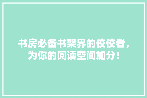 书房必备书架界的佼佼者，为你的阅读空间加分！