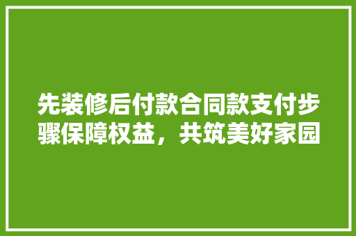 先装修后付款合同款支付步骤保障权益，共筑美好家园