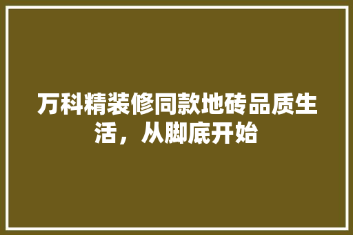 万科精装修同款地砖品质生活，从脚底开始