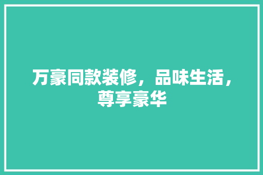 万豪同款装修，品味生活，尊享豪华