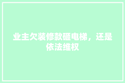 业主欠装修款砸电梯，还是依法维权