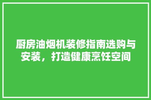 厨房油烟机装修指南选购与安装，打造健康烹饪空间
