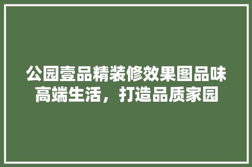 公园壹品精装修效果图品味高端生活，打造品质家园