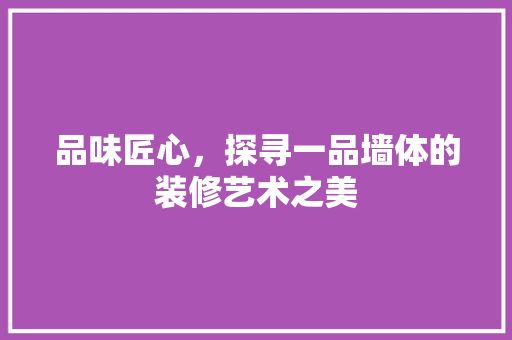 品味匠心，探寻一品墙体的装修艺术之美