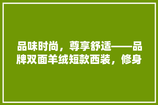 品味时尚，尊享舒适——品牌双面羊绒短款西装，修身演绎非凡魅力