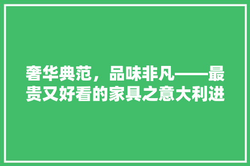 奢华典范，品味非凡——最贵又好看的家具之意大利进口家具
