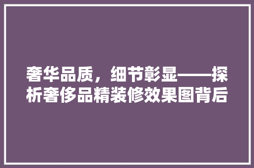 奢华品质，细节彰显——探析奢侈品精装修效果图背后的美学奥秘
