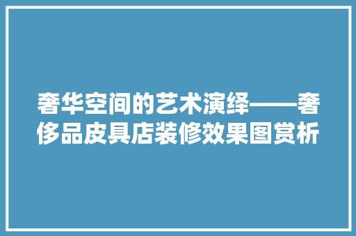 奢华空间的艺术演绎——奢侈品皮具店装修效果图赏析