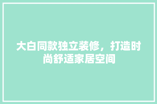 大白同款独立装修，打造时尚舒适家居空间