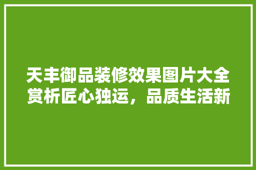 天丰御品装修效果图片大全赏析匠心独运，品质生活新境界
