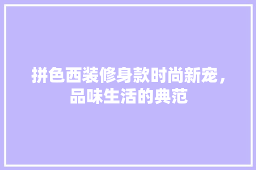 拼色西装修身款时尚新宠，品味生活的典范