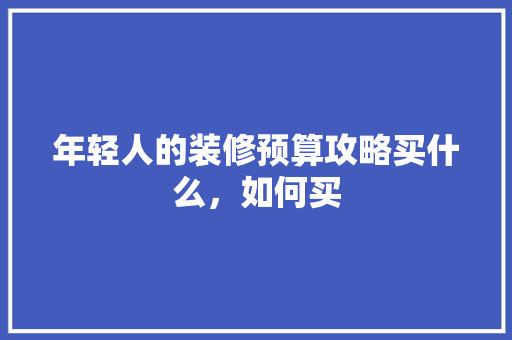 年轻人的装修预算攻略买什么，如何买