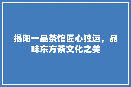 揭阳一品茶馆匠心独运，品味东方茶文化之美