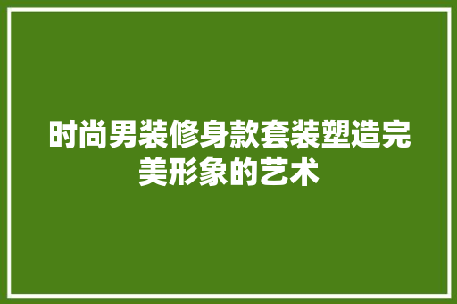 时尚男装修身款套装塑造完美形象的艺术