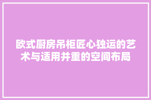 欧式厨房吊柜匠心独运的艺术与适用并重的空间布局