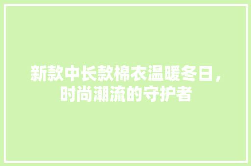 新款中长款棉衣温暖冬日，时尚潮流的守护者
