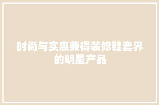 时尚与实惠兼得装修鞋套界的明星产品