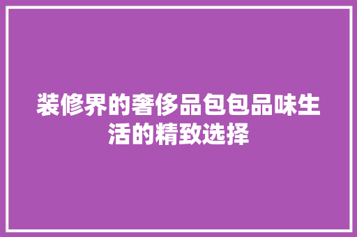 装修界的奢侈品包包品味生活的精致选择