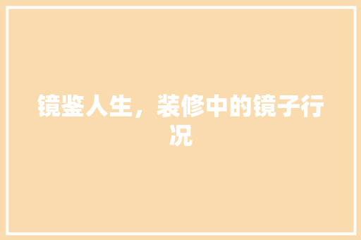 镜鉴人生，装修中的镜子行况