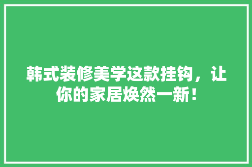 韩式装修美学这款挂钩，让你的家居焕然一新！