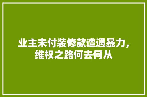 业主未付装修款遭遇暴力，维权之路何去何从  第1张