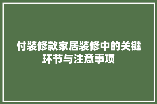 付装修款家居装修中的关键环节与注意事项