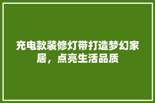 充电款装修灯带打造梦幻家居，点亮生活品质