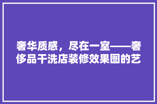 奢华质感，尽在一室——奢侈品干洗店装修效果图的艺术魅力