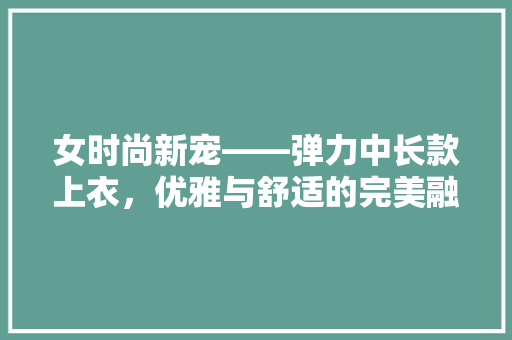 女时尚新宠——弹力中长款上衣，优雅与舒适的完美融合
