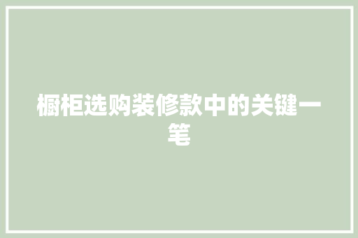 橱柜选购装修款中的关键一笔