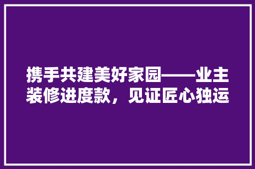 携手共建美好家园——业主装修进度款，见证匠心独运的蜕变之旅
