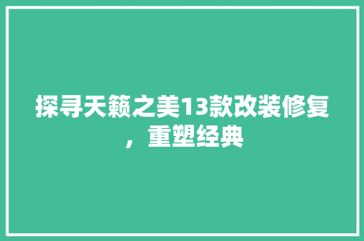 探寻天籁之美13款改装修复，重塑经典