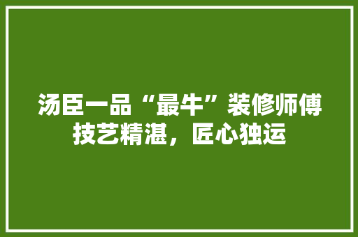 汤臣一品“最牛”装修师傅技艺精湛，匠心独运