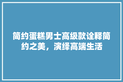 简约蛋糕男士高级款诠释简约之美，演绎高端生活