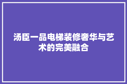 汤臣一品电梯装修奢华与艺术的完美融合