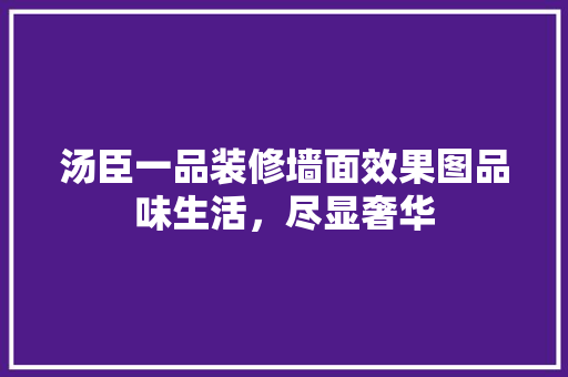 汤臣一品装修墙面效果图品味生活，尽显奢华