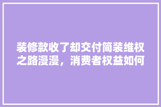 装修款收了却交付简装维权之路漫漫，消费者权益如何保障