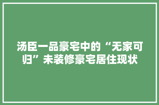 汤臣一品豪宅中的“无家可归”未装修豪宅居住现状