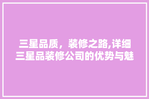 三星品质，装修之路,详细三星品装修公司的优势与魅力