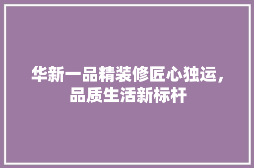 华新一品精装修匠心独运，品质生活新标杆