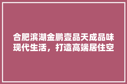 合肥滨湖金鹏壹品天成品味现代生活，打造高端居住空间