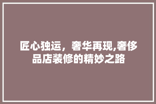 匠心独运，奢华再现,奢侈品店装修的精妙之路