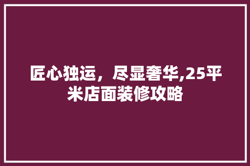 匠心独运，尽显奢华,25平米店面装修攻略
